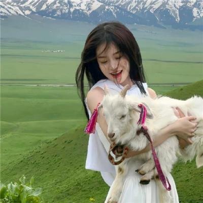 帕纳大师的魔幻冒险